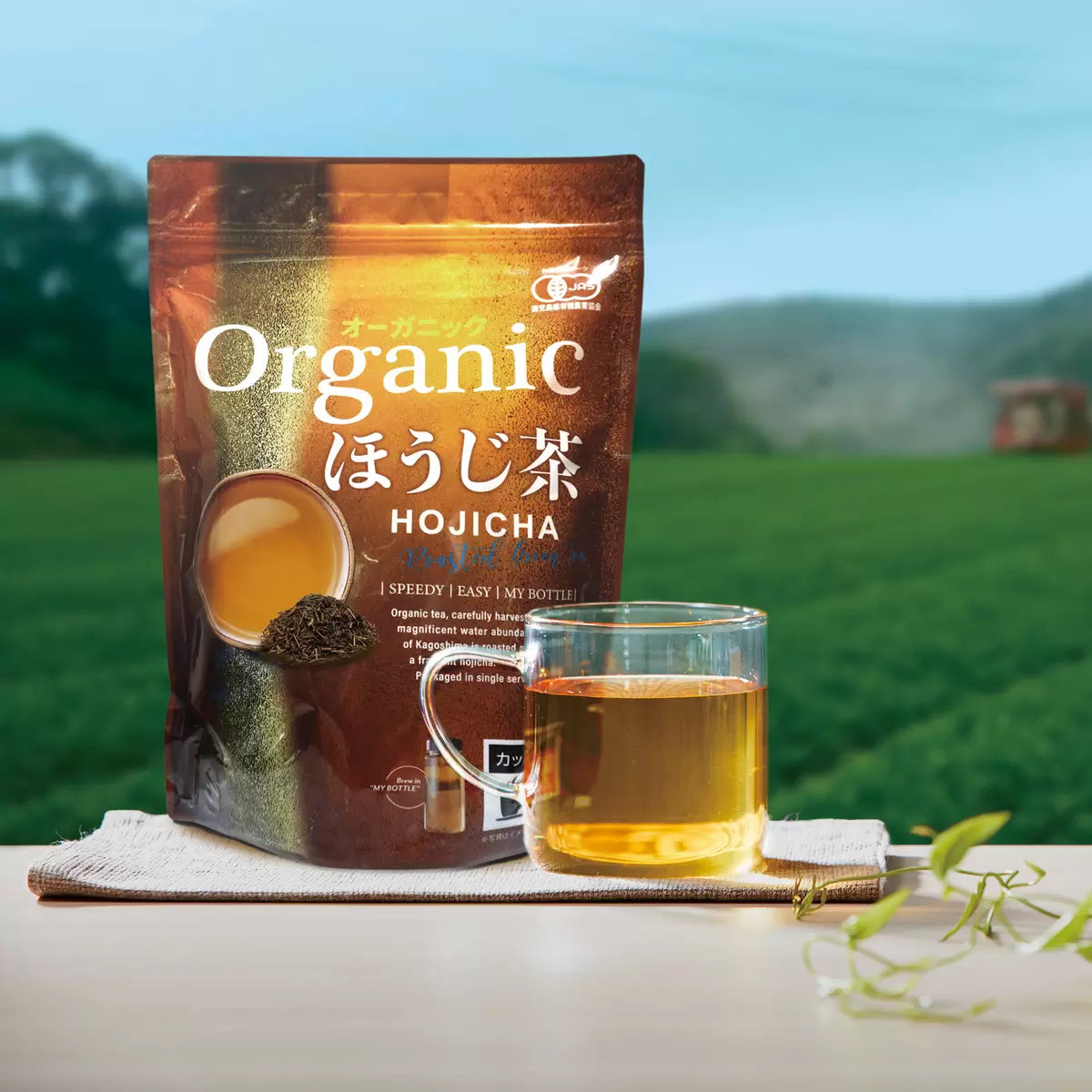 日本製-有機焙茶代購-九州產有機ほうじ茶立體茶包-100個入大容量超值袋裝-日本進口純天然低咖啡因烘焙綠茶包-杯用獨立包裝芳香甘甜-冷泡熱沖兩用-改善夜晚失眠胃寒上火解油膩-孕婦安心養生茶飲照