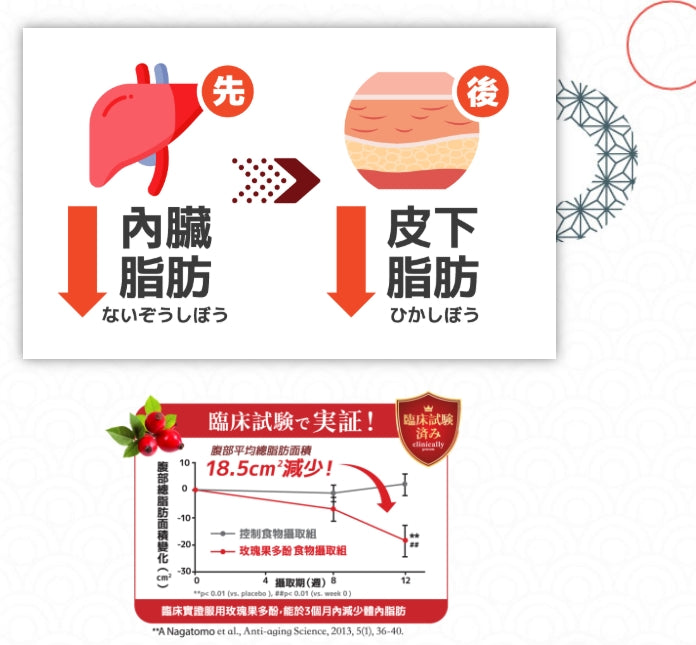 森下仁丹益生菌瘦身排毒