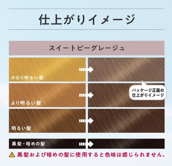 日本製:Liese 泡沫染髮劑 (B547)