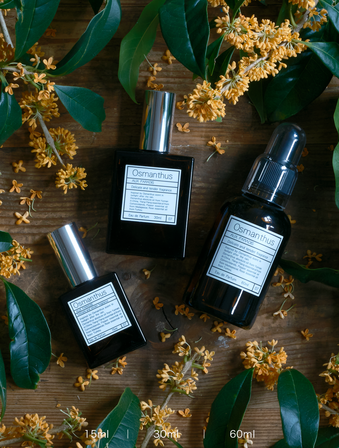 日本製:AUX PARADIS 秋季限定金木樨淡香水 Eau de Parfum #07 Osmanthus 金桂花香(B3841)