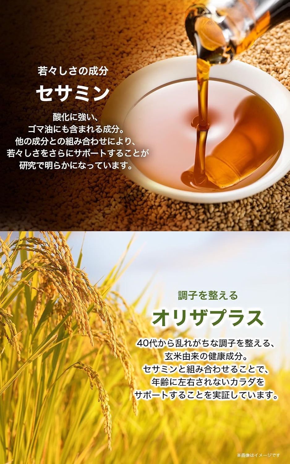 日本製:Suntory (三得利) 芝麻明 EX 青春活力膠囊 (90粒裝 / 30日份) (B3866)