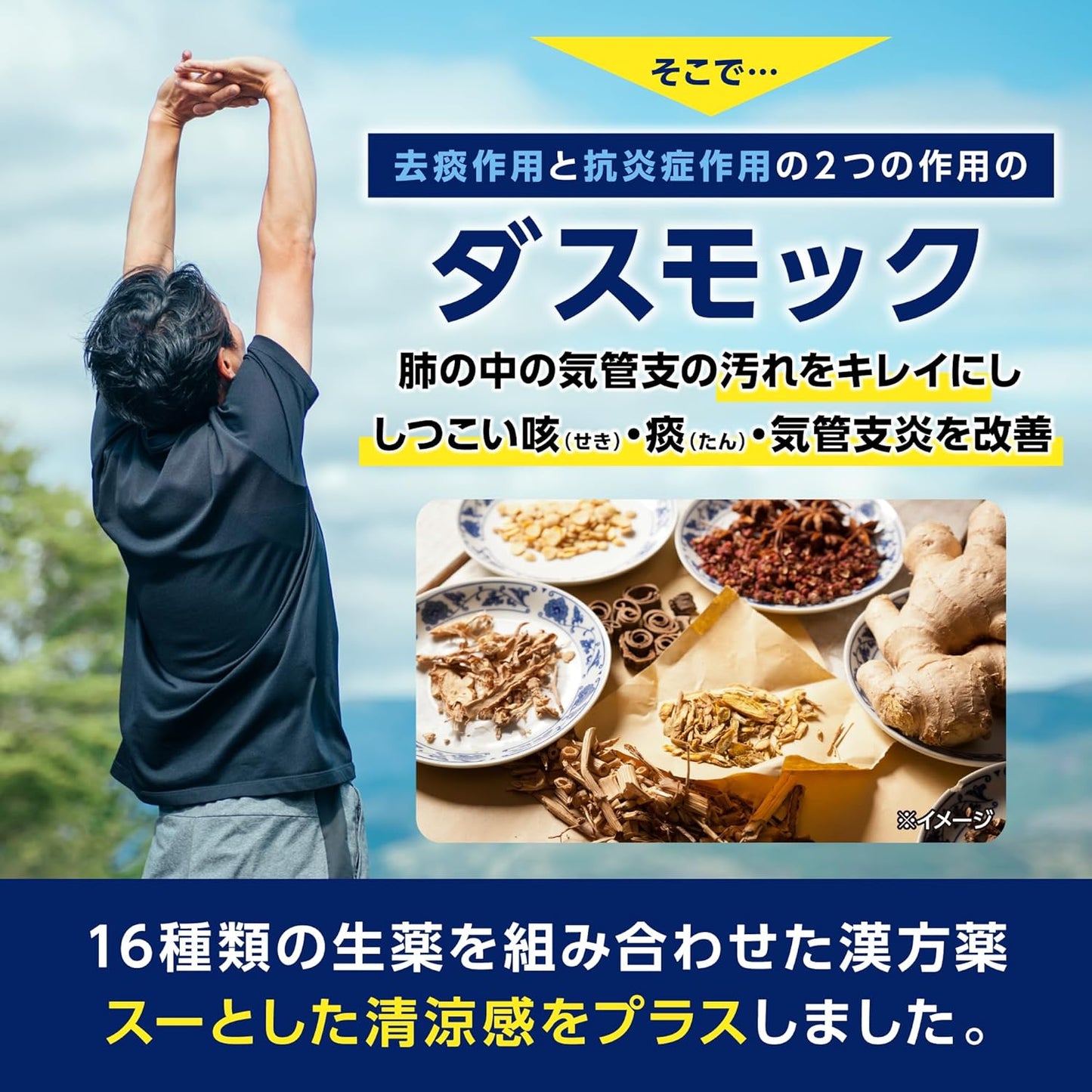 Japan: Kobayashi Pharmaceutical | Dasmock b Cough and Phlegm Clearing Lung Pills (B3473)