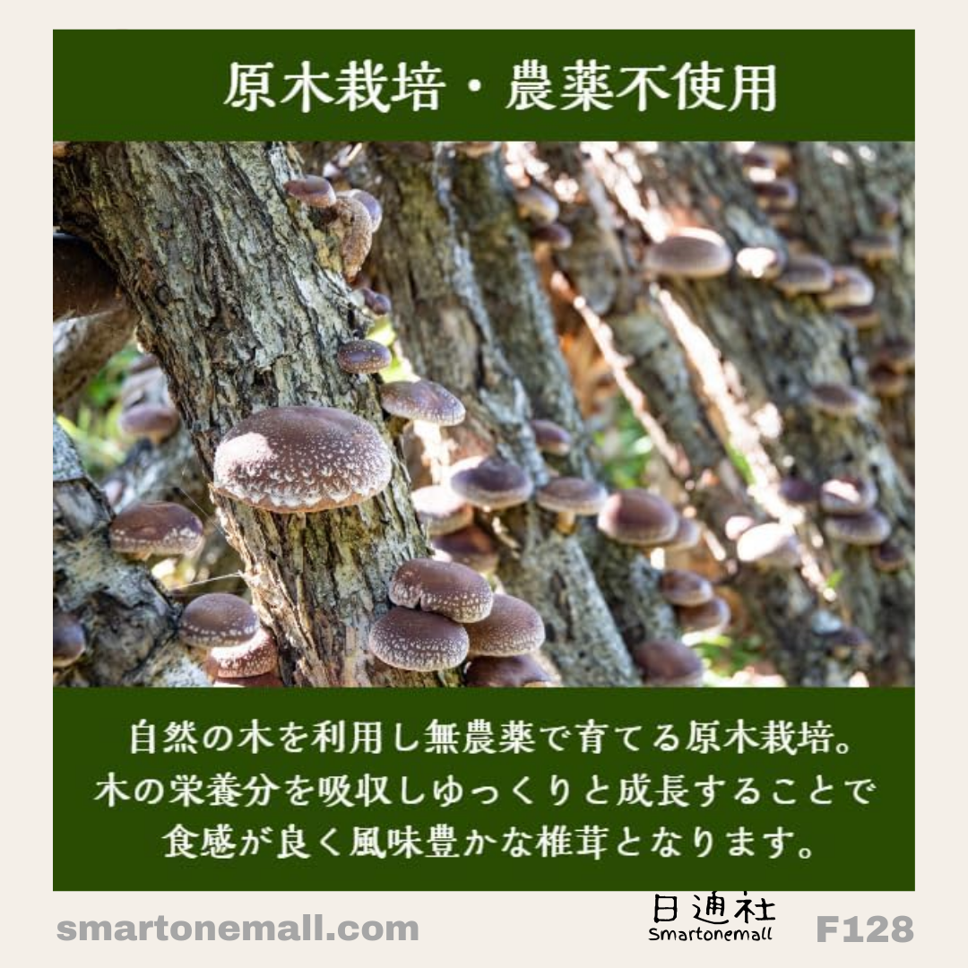 日本製:日本伊勢丘商店国産原木栽培無農藥原乾椎茸(冬菇)粉 しいたけ粉 100g (F128) / Made in Japan : Premium Japanese Organic Dried Shiitake Mushroom Powder 100g (F128)