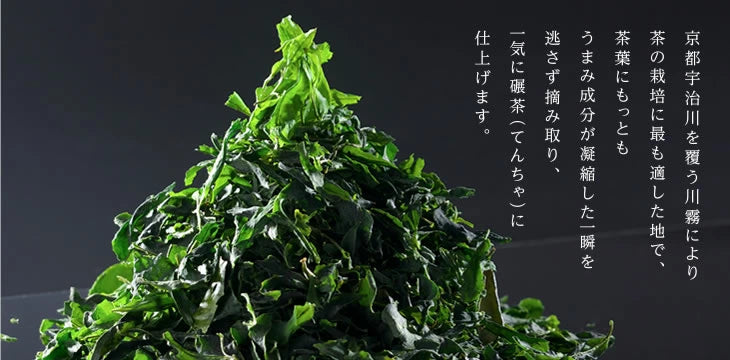 日本製:辻利兵衛本店 宇治抹茶棒 25包裝 × 2盒共50條 (B2971)