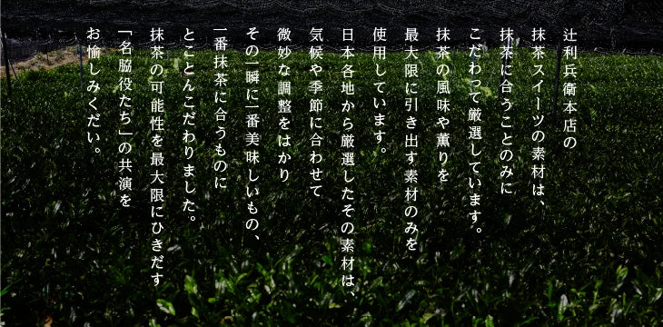 日本製:辻利兵衛本店 宇治抹茶棒 25包裝 × 2盒共50條 (B2971)