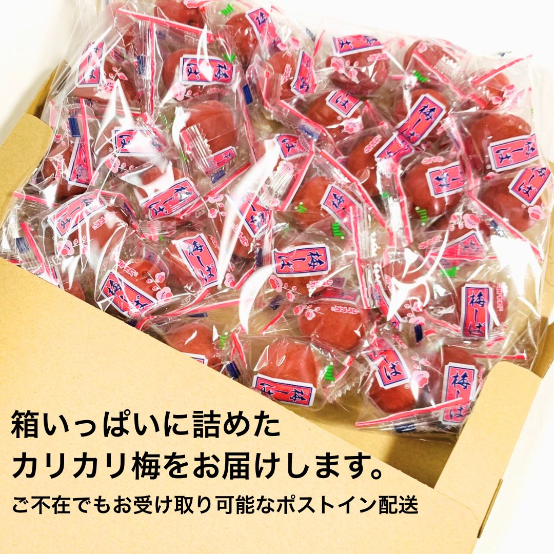 日本製-村岡食品-Muraoka-群馬縣產-特大脆梅-梅しば-650g-獨立包裝-手摘大粒-開胃零食-日本直送-產品展示照