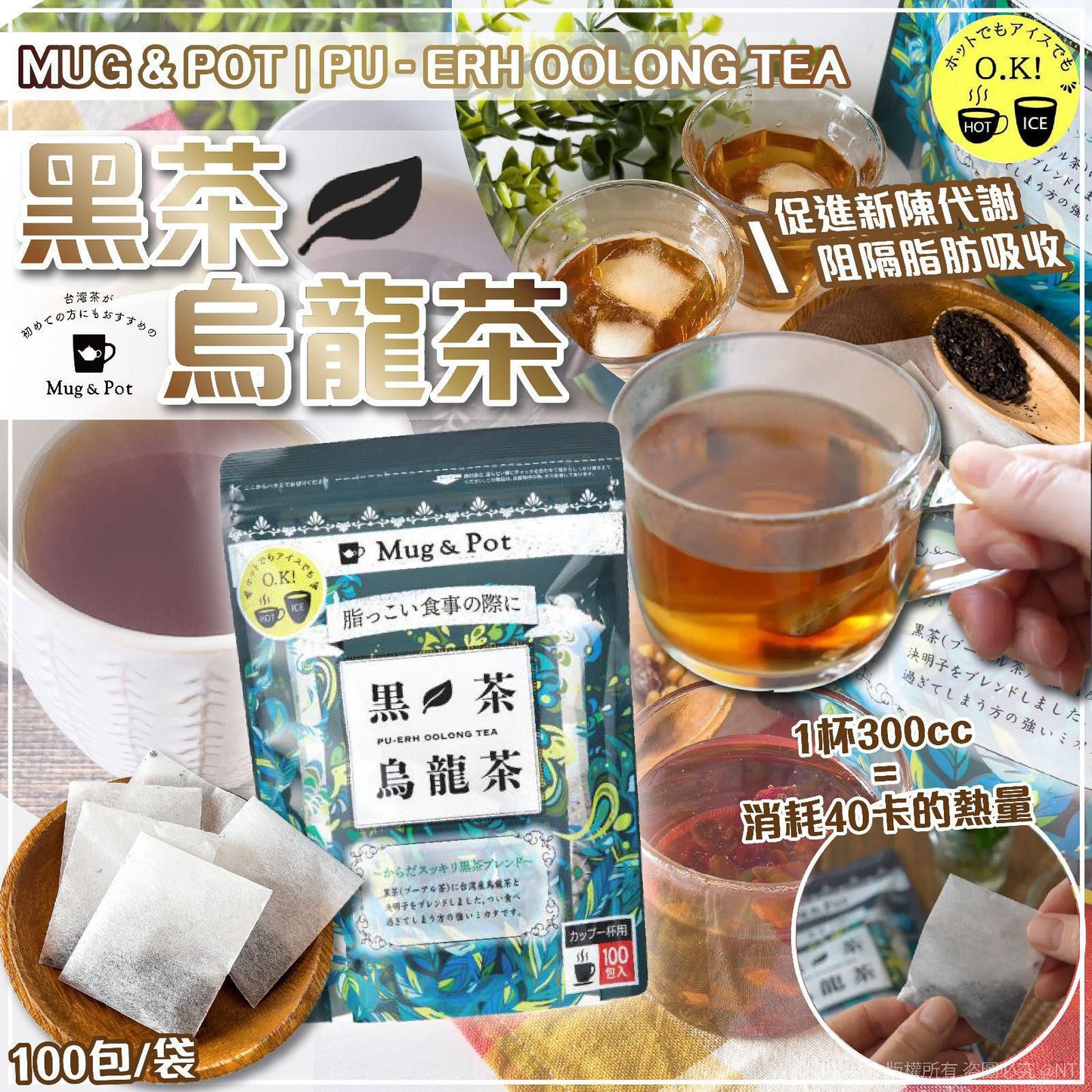 日本COSTCO直送-日本製: Mug & Pot 黑烏龍茶 (100入) (B3003)
