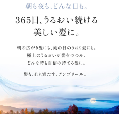 日本製：emplir 深層修復光澤柔順水導護髮精華 210ml (B3824)