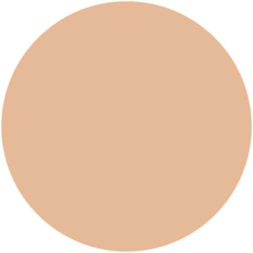 Made in Japan: SHISEIDO INTEGRATE Gracy Whitening Liquid Foundation 30mL SPF38 / PA+++ (B3379)