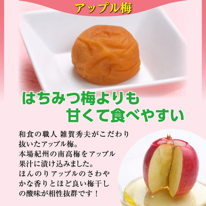 Made in Japan: Ume no Ichifuji | Wakayama Prefecture Kishu Nanko Ume Apple Plum 3% Salt 300g (B3426)