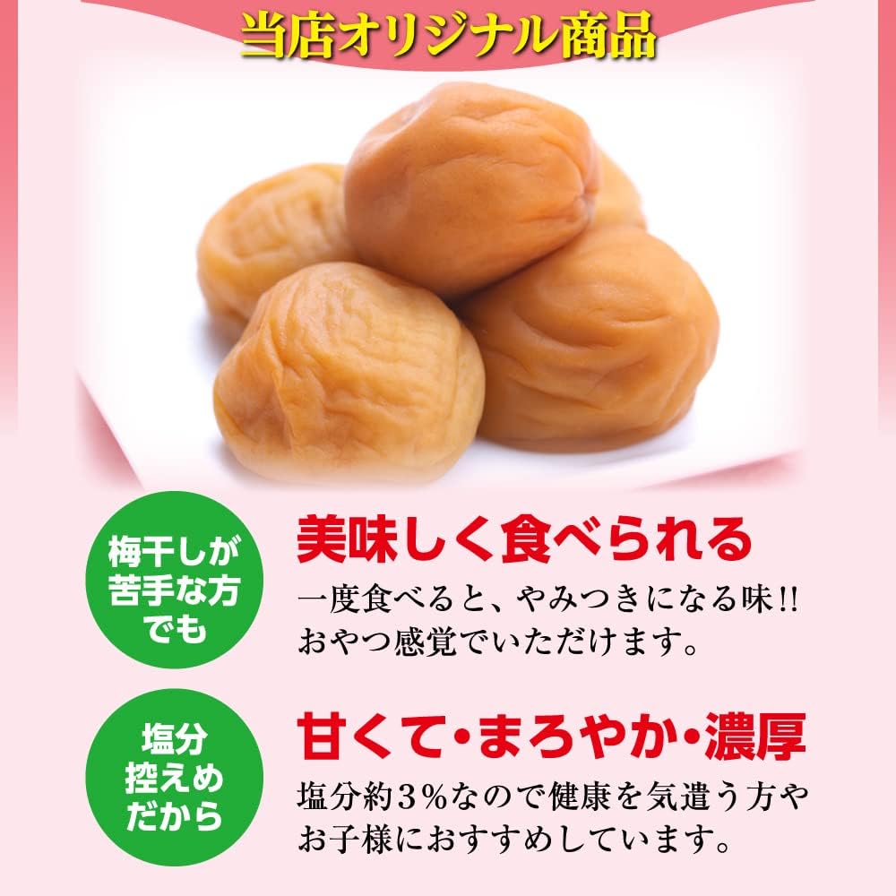 Made in Japan: Ume no Ichifuji | Wakayama Prefecture Kishu Nanko Ume Apple Plum 3% Salt 300g (B3426)
