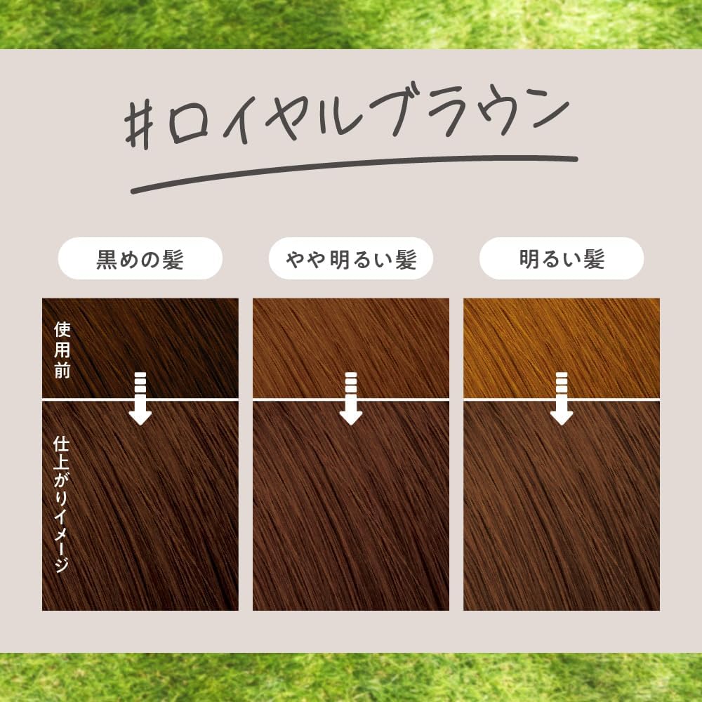 Made in Japan: Liese Bubble Hair Colorant | Royal Brown (115ml) x 2 Boxes (B3553)