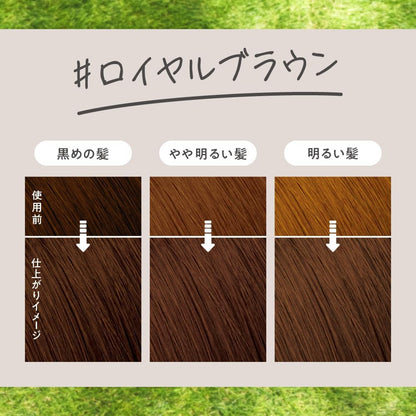 Made in Japan: Liese Bubble Hair Colorant | Royal Brown (115ml) x 2 Boxes (B3553)