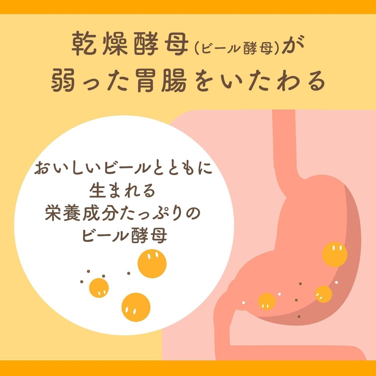 日本製朝日 EBIOS 愛表斯天然酵母錠 2000 錠裝，含有豐富必須氨基酸與維他命 B 群，針對改善胃部功能與孕產婦營養補給