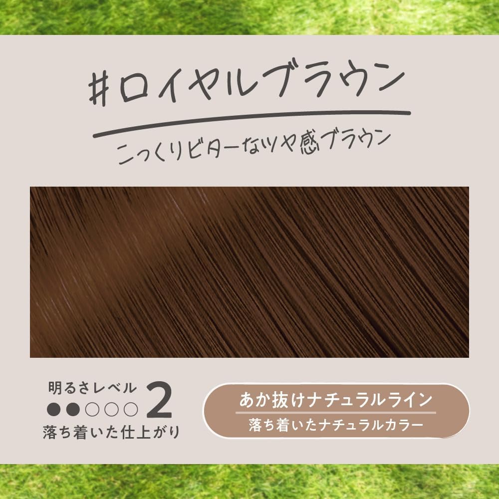 Made in Japan: Liese Bubble Hair Colorant | Royal Brown (115ml) x 2 Boxes (B3553)