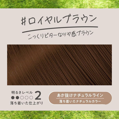 Made in Japan: Liese Bubble Hair Colorant | Royal Brown (115ml) x 2 Boxes (B3553)