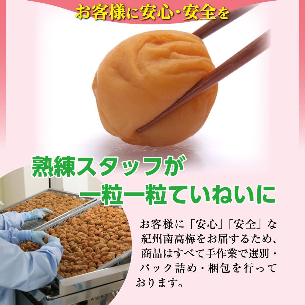 Made in Japan: Ume no Ichifuji | Wakayama Prefecture Kishu Nanko Ume Apple Plum 3% Salt 300g (B3426)