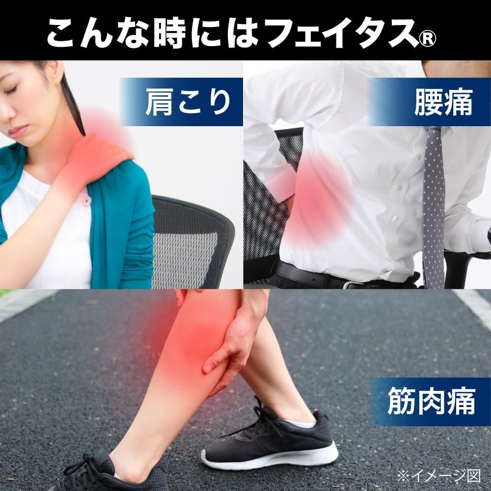 Made in Japan: Hisamitsu Pharmaceutical | Feitas 5.0 Professional Anti-inflammatory Pain Relief Patch, Large, 20 sheets (B3339)