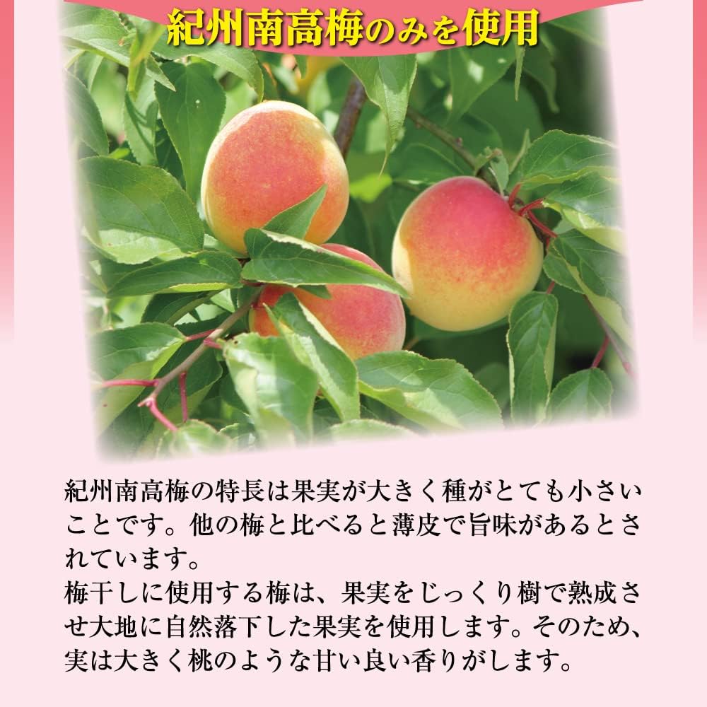 Made in Japan: Ume no Ichifuji | Wakayama Prefecture Kishu Nanko Ume Apple Plum 3% Salt 300g (B3426)