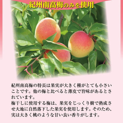 Made in Japan: Ume no Ichifuji | Wakayama Prefecture Kishu Nanko Ume Apple Plum 3% Salt 300g (B3426)