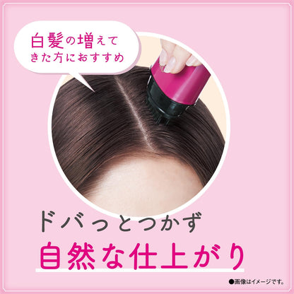 日本製：SALON de PRO 白髮修飾寬頭補染筆 20ml (B3052)