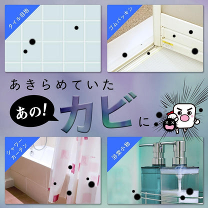 日本製：✈️ LEC 黑カビくん 激落君霉斑去除凝膠 100g (B3032)