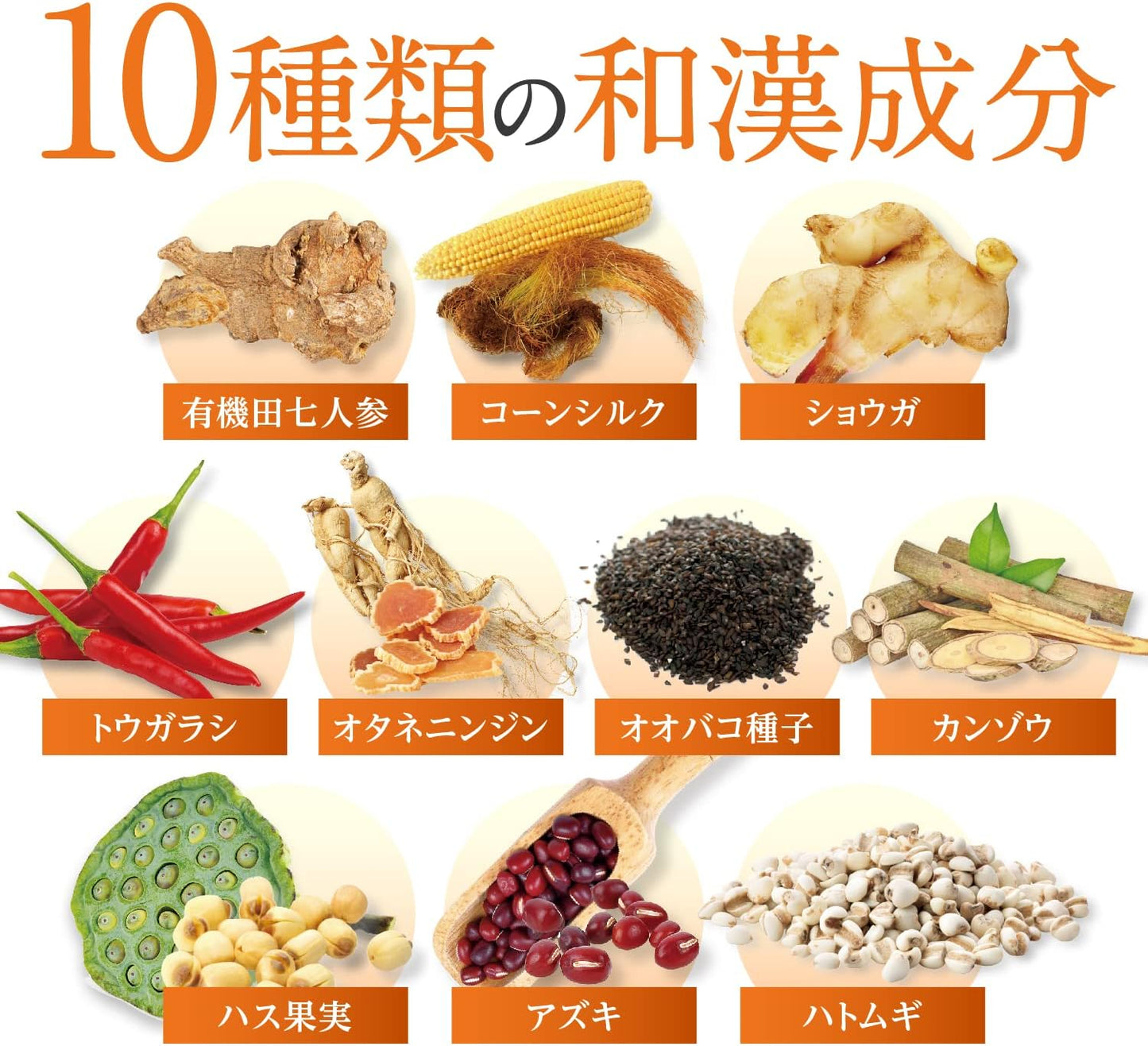 Made in Japan: 🏆Wakan-no-Mori | Piper Longum GABA no Megumi Functional Food 60 Capsules/1 Month Supply (B3340)