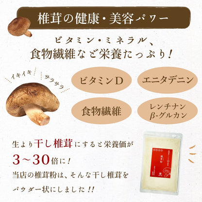 日本製：大道貿易 九州產無農藥天然香菇粉 100g (B3863)