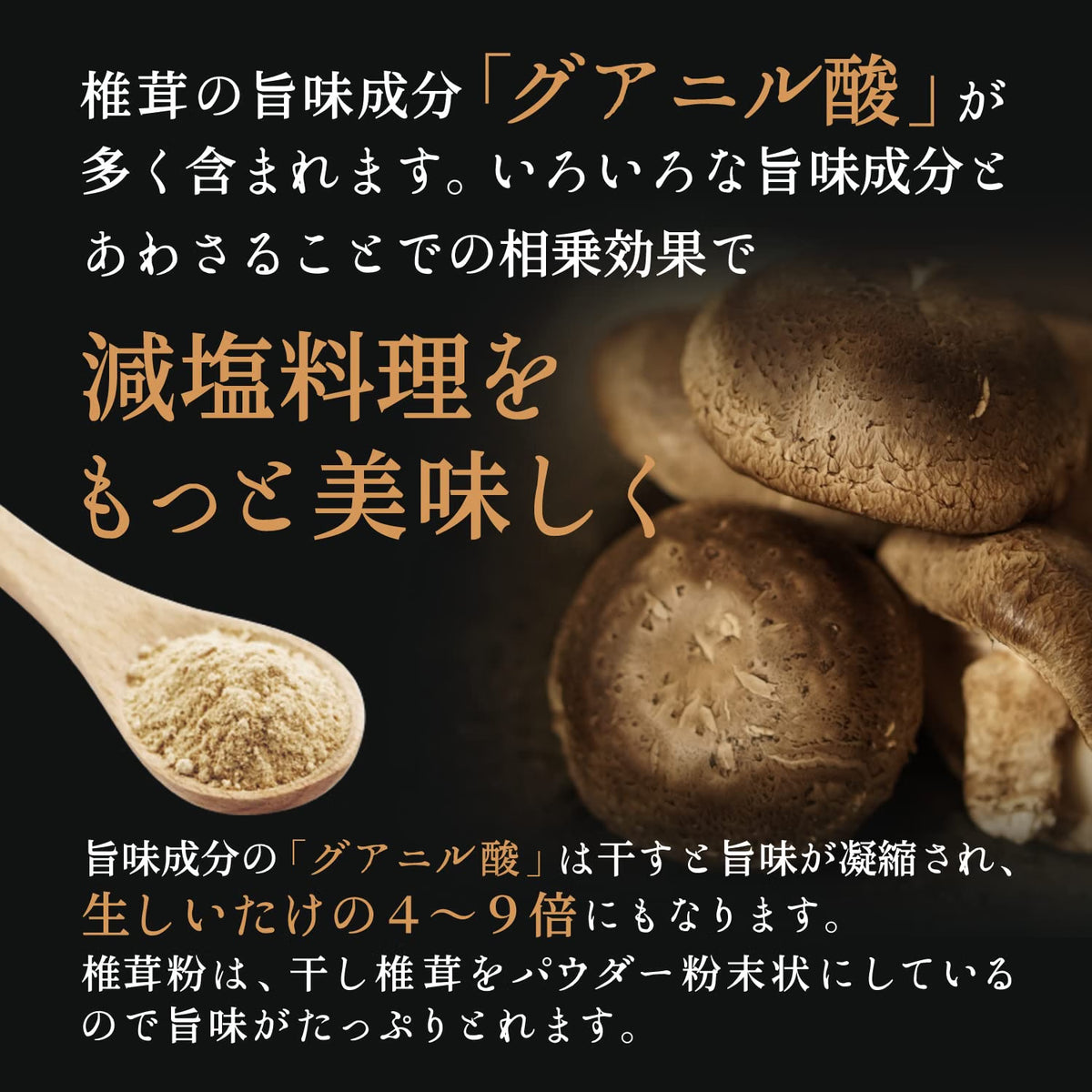 日本製：大道貿易 九州產無農藥天然香菇粉 100g (B3863)