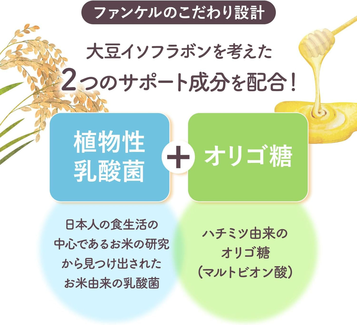 Made in Japan: FANCL | 🏆 Concentrated Soy Isoflavones + Plant-based Lactic Acid Bacteria 30 Days (B3487)