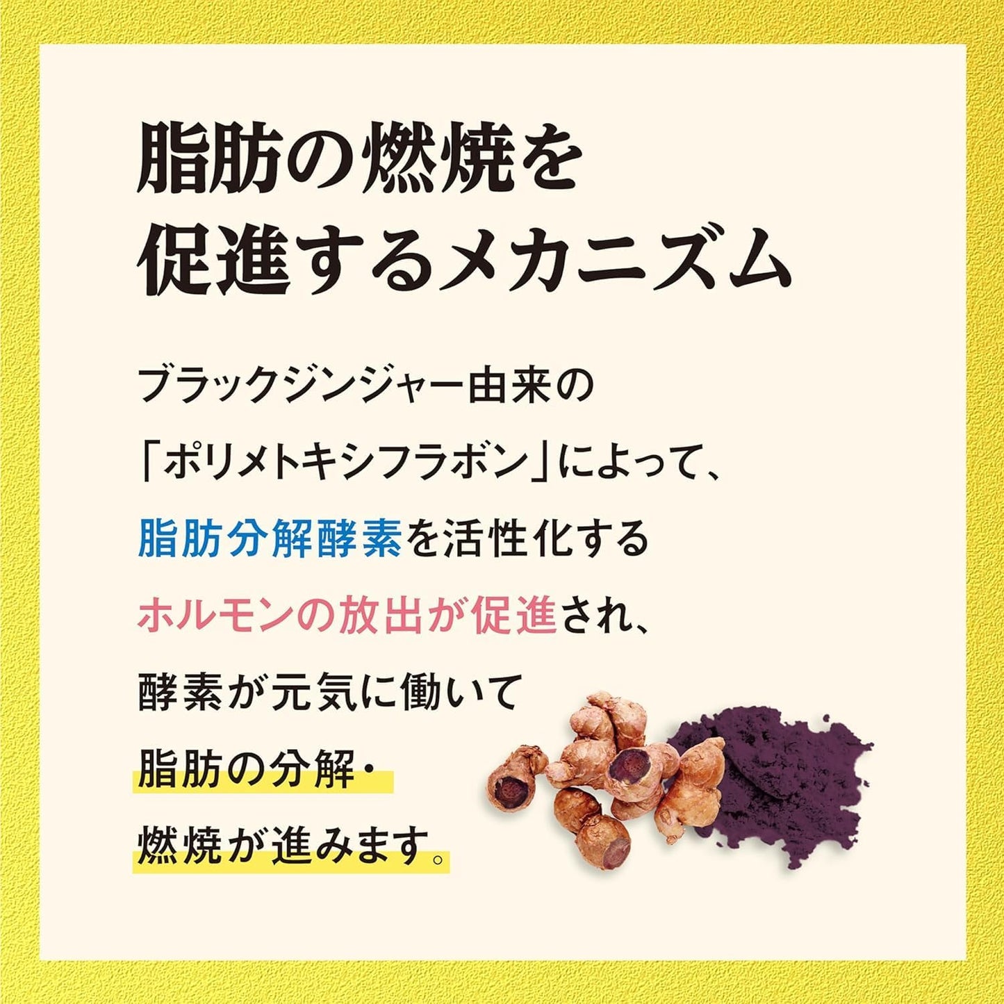 Made in Japan: Kobayashi Pharmaceutical | Naishi Help Alpha | Black Ginger x Salacia Fat Countermeasure Supplement 90 Tablets / Approx. 30 Days (B3532)