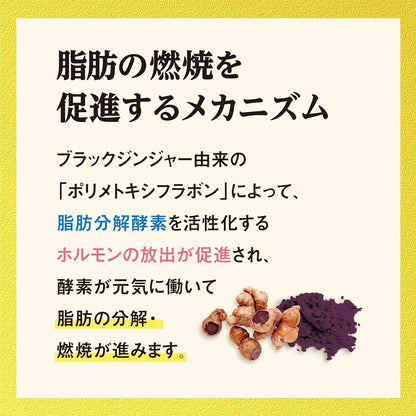 Made in Japan: Kobayashi Pharmaceutical | Naishi Help Alpha | Black Ginger x Salacia Fat Countermeasure Supplement 90 Tablets / Approx. 30 Days (B3532)