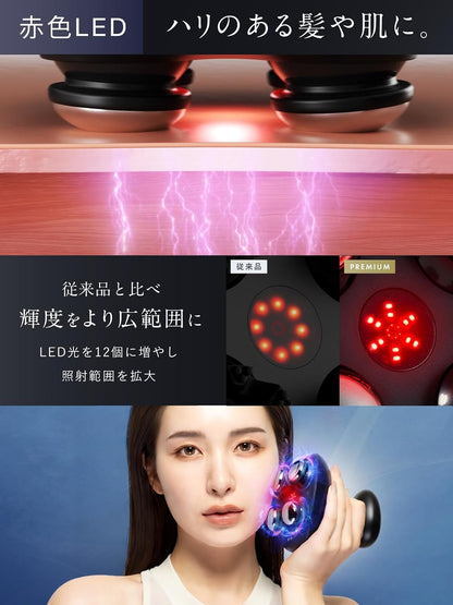 日本直送：九州大學博士監修 NIPLUX EMS 頭皮面部按摩器 (B3797)