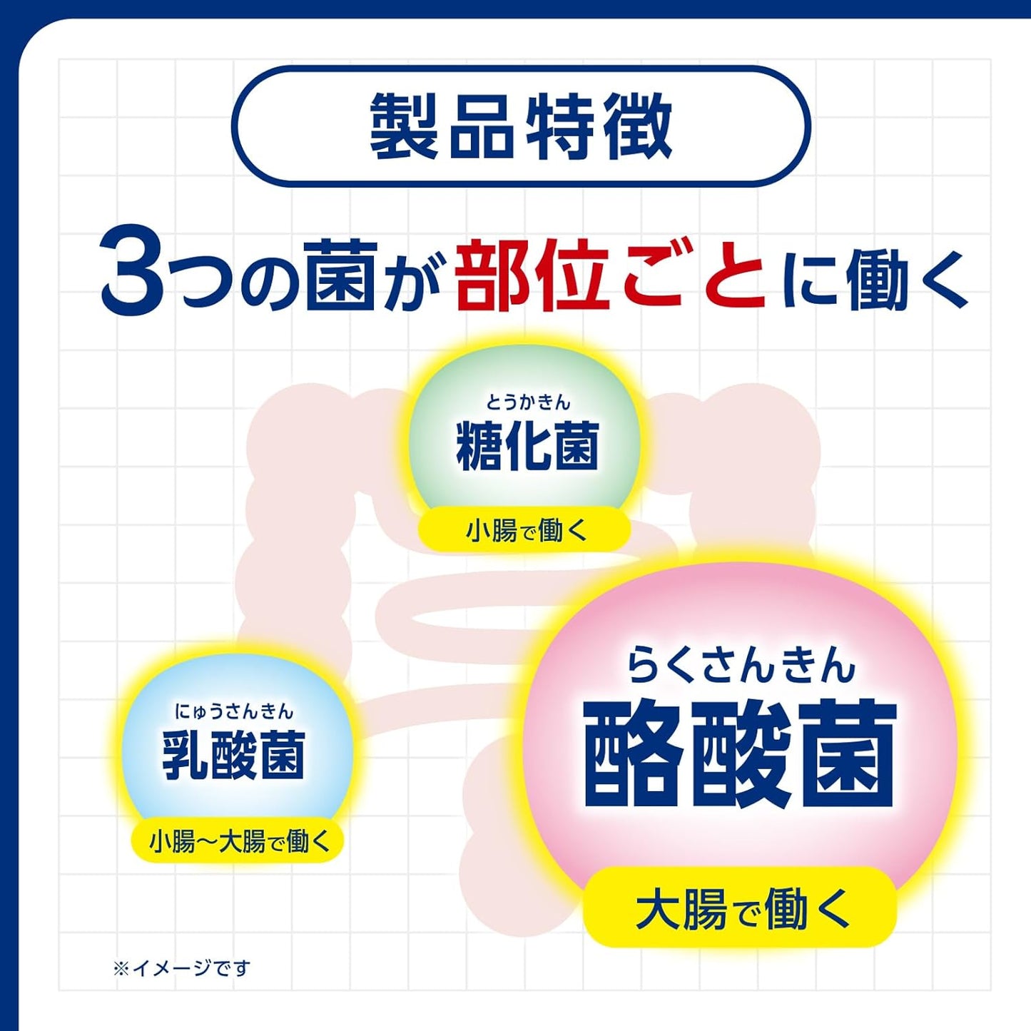 Made in Japan: Takeda | Bio-Three Hi Tablets | 3-in-1 Active Probiotic Intestinal Regulator 180 Tablets (B3522)