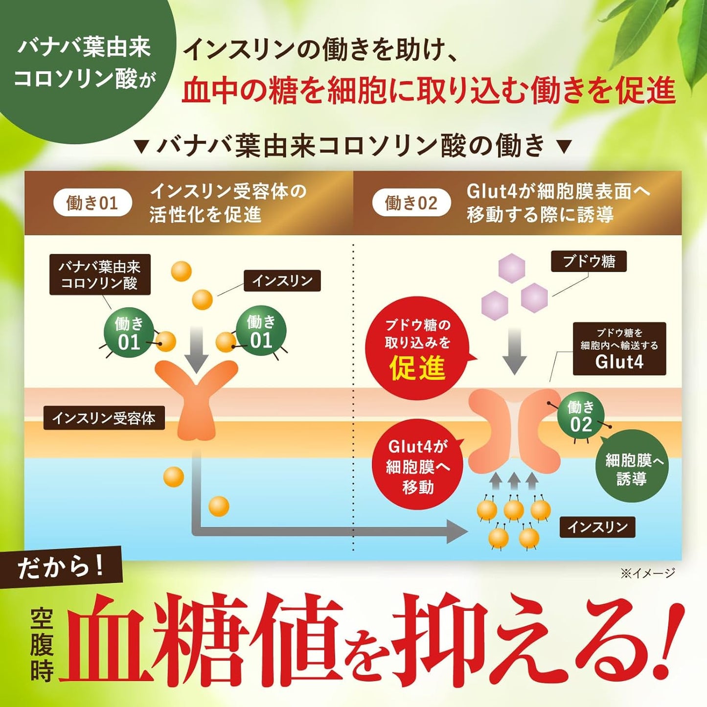 血糖管理 日本製：日本AMAZON第一🏆新日本健康-植物胰島素-紫薇葉空腹降血糖保健丸 [30粒/1個月份量] (B2992)