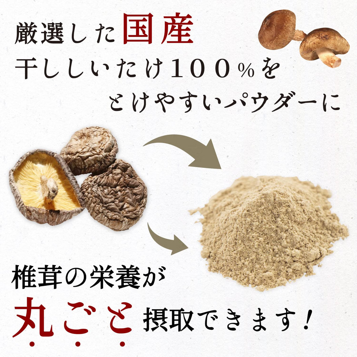 日本製-大道貿易代購-九州產無農藥天然香菇粉100g-單袋裝粗磨顆粒-日本進口大道貿易国産椎茸粉100g九州產無農藥干香菇粗磨顆粒無添加純素Vegan湯品炒菜餡料適用-改善料理單調化學味精及泡發繁瑣-日系調味食材照
