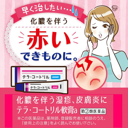 日本製 Terra-Cortril 軟膏 a 6g 包裝，專針對化膿性濕疹與皮膚炎之抗炎抗菌雙效