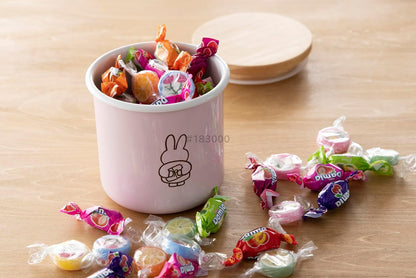 日本直送：Fujihoro Miffy Pastel 9cm 琺瑯儲物罐 400ml (B3781)