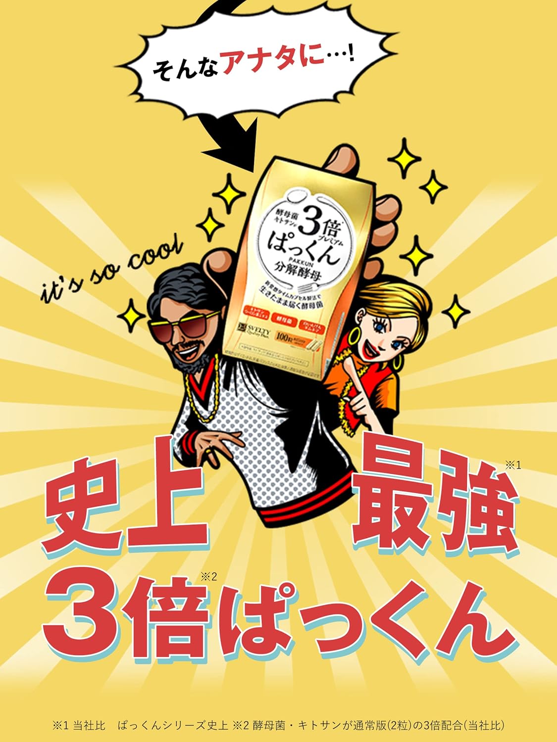 Made in Japan: SVELTY | 3x Pakkun Decomposition Yeast Premium 100 tablets (approx. 20-50 days) (B3358)