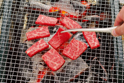 日本製：Todai 不鏽鋼料理夾／燒肉夾 24.5cm (B3135)