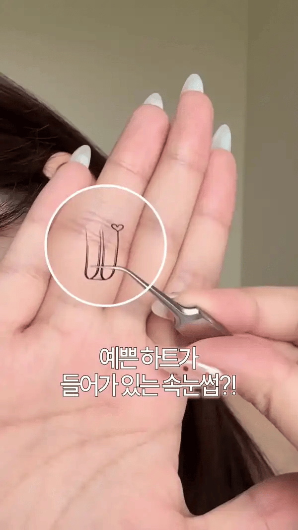 韓國製-SooAdor-No-Glue-Clean-Cut-Edge-Lash-免膠水自黏睫毛-分束式-80片大容量