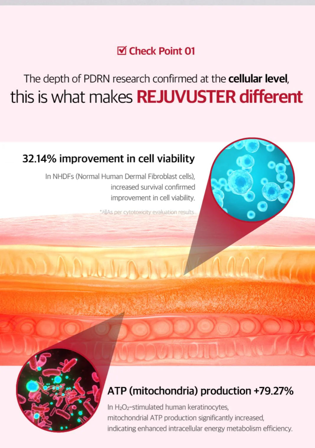 Made in Korea: Professional-grade PYDERIN Rejuvuster PDRN Pharmacy Series Regenerative Repair Cream 25ml (B3344)