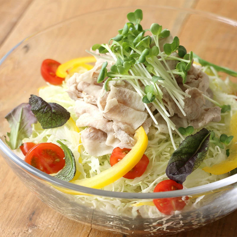 Direct from Japan: NoNoJi | Lettuce Peeler MAX Double-Speed High-Efficiency Peeler (B3432)