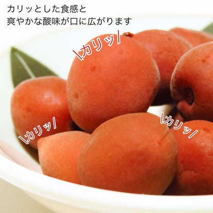 日本製-村岡食品-Muraoka-群馬縣產-特大脆梅-梅しば-650g-獨立包裝-手摘大粒-開胃零食-日本直送-產品展示照