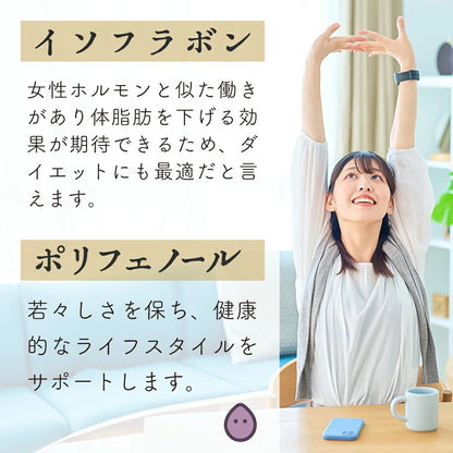 日本製特選黑豆茶 100 包裝，精選優質黑豆焙煎而成，富含花青素，無咖啡因，適合日常補水與保養之茶包