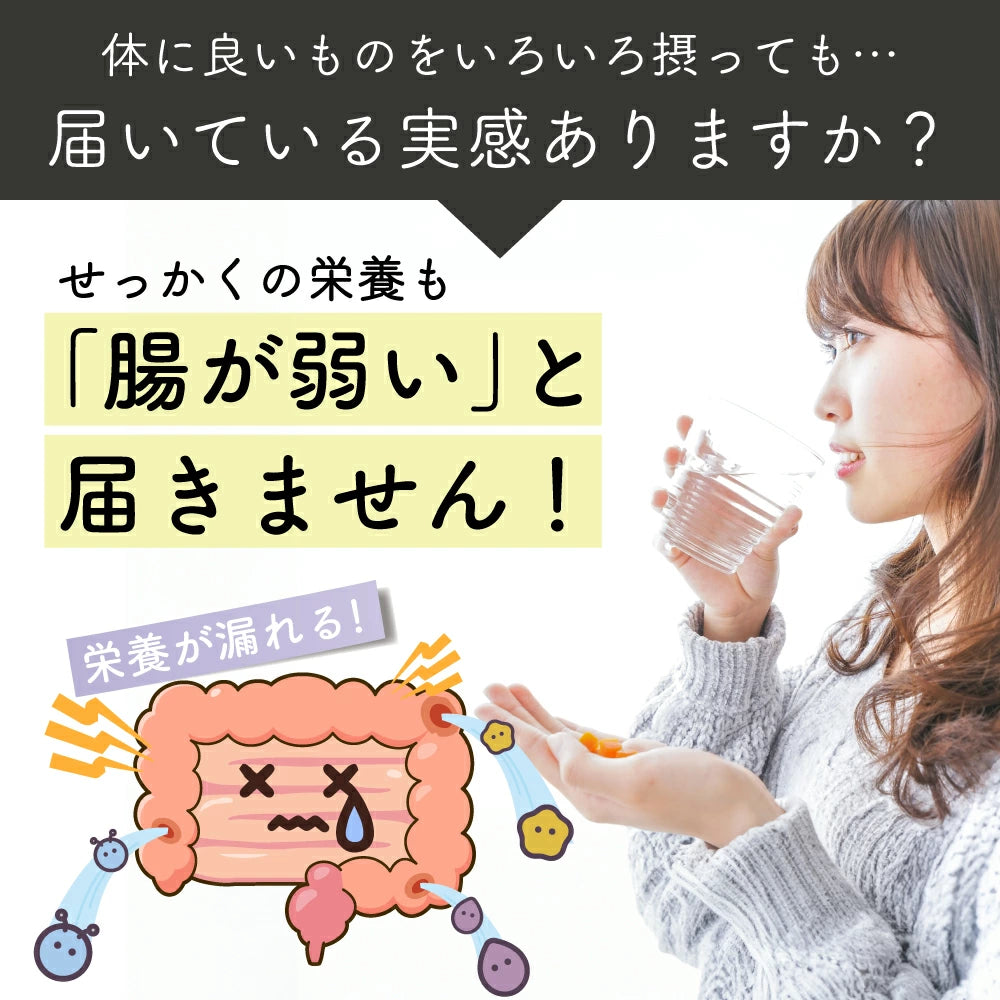 日本製特選黑豆茶 100 包裝，精選優質黑豆焙煎而成，富含花青素，無咖啡因，適合日常補水與保養之茶包