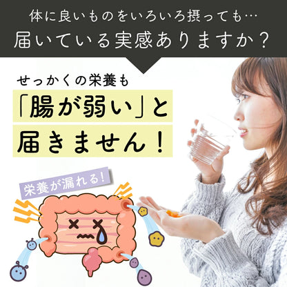 日本製特選黑豆茶 100 包裝，精選優質黑豆焙煎而成，富含花青素，無咖啡因，適合日常補水與保養之茶包
