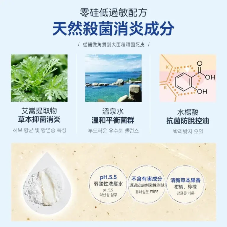 [30/8截單]韓國製：RUTHAIR 3重海鹽天然潔淨脂漏性頭皮調養洗頭水護髮素套裝 (B654)
