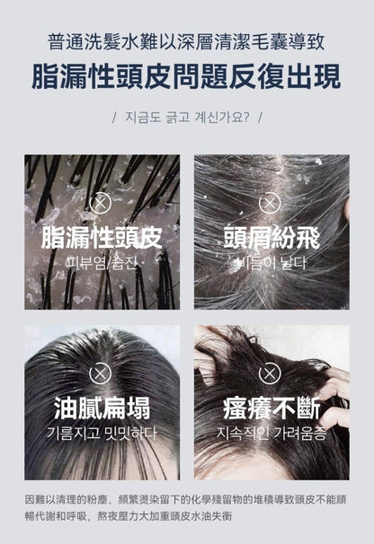 [30/8截單]韓國製：RUTHAIR 3重海鹽天然潔淨脂漏性頭皮調養洗頭水護髮素套裝 (B654)