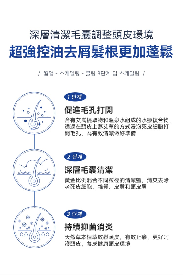 [30/8截單]韓國製：RUTHAIR 3重海鹽天然潔淨脂漏性頭皮調養洗頭水護髮素套裝 (B654)